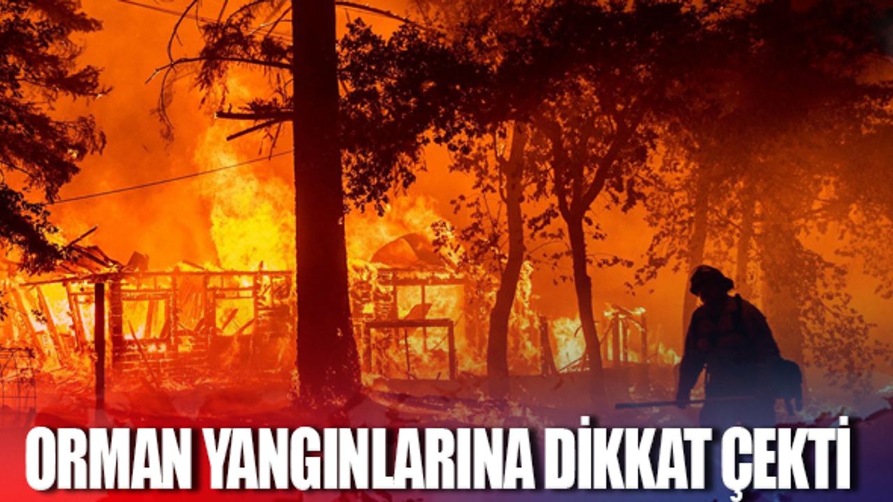 Ziya Polat orman yangınlarına dikkat çekti