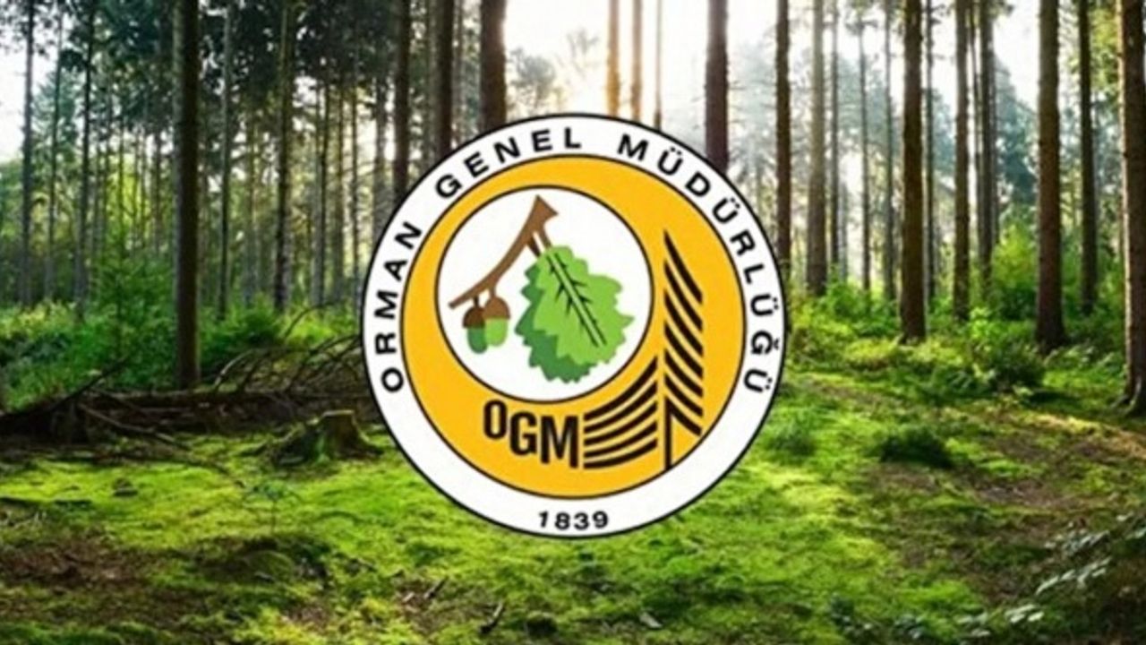 OGM 249 Orman Mühendisi alımı yapacak