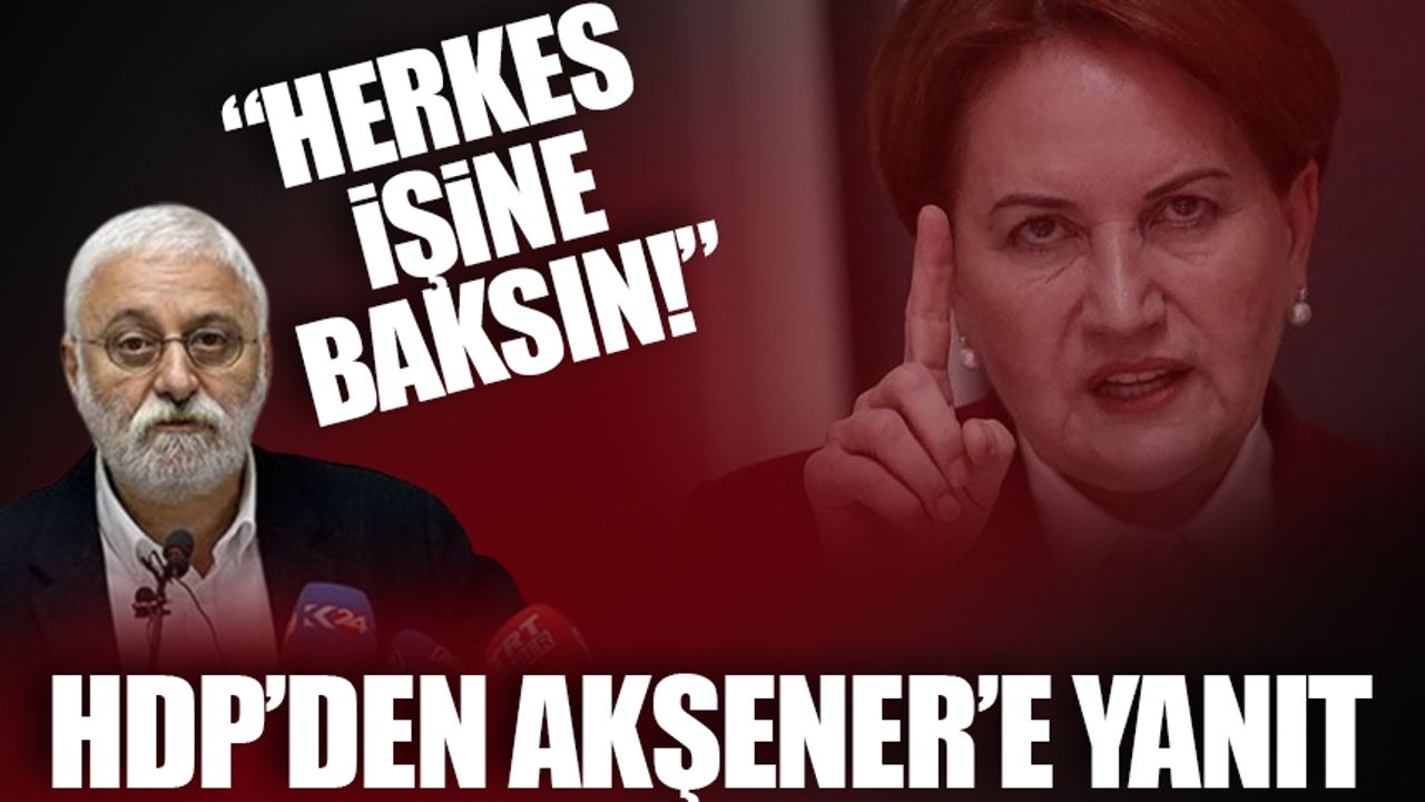 HDP'den Meral Akşener'e: Herkes işine baksın