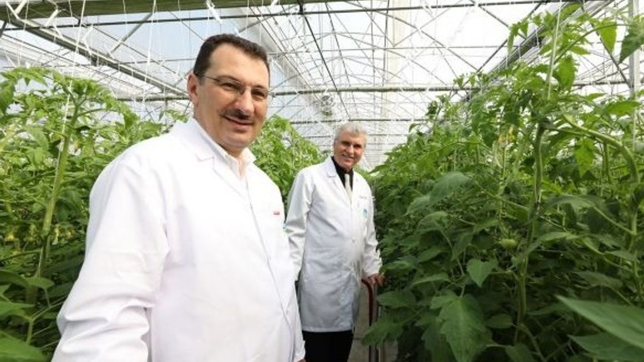 AK Parti Genel Başkan Yardımcısı Yavuz, tarım merkezlerini gezdi