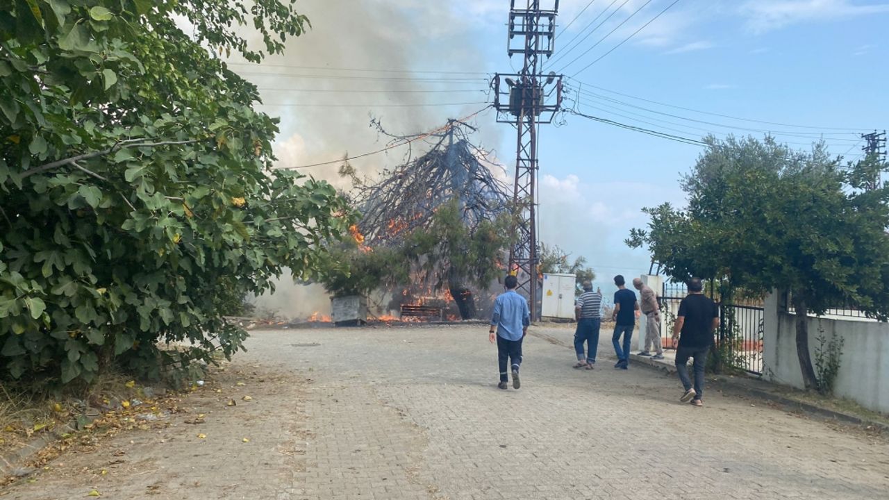 Orhangazi'de trafo patlaması nedeniyle ağaç ve otluk alanda yangın çıktı