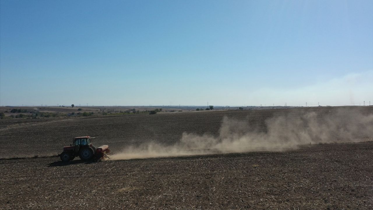 Edirne'de çiftçiler buğday tohumlarını bu yıl da kuru toprağa ekiyor