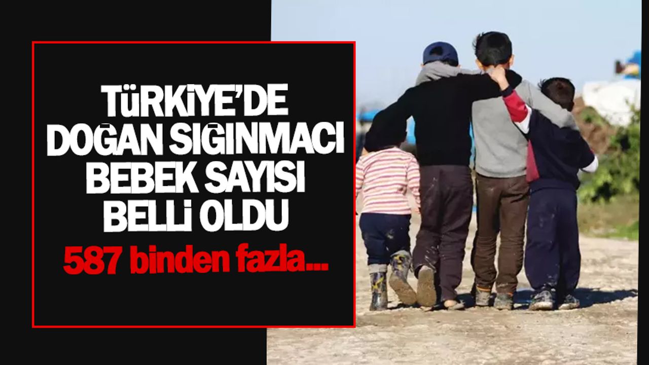 Türkiye'de doğan sığınmacı bebek sayısı belli oldu