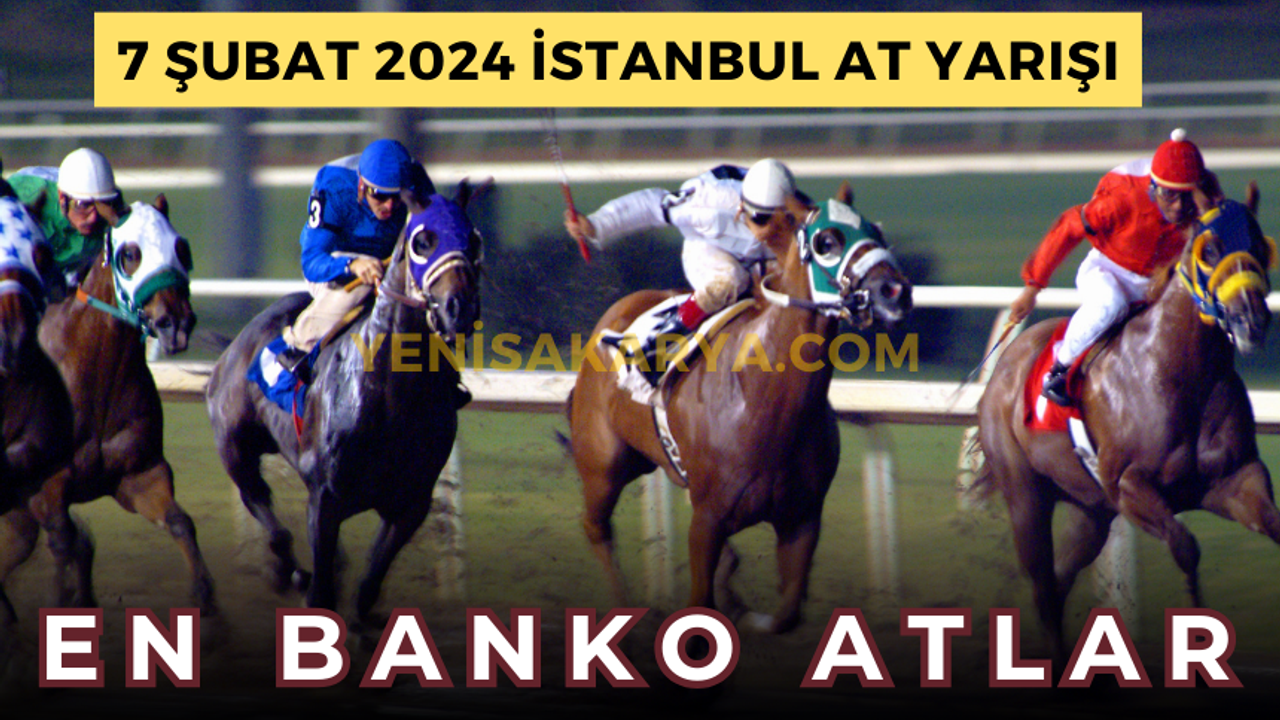İstanbul at yarışı tahminleri 7 Şubat  2024 | İstanbul at yarışları | İstanbul Altılı ganyan | İstanbul AT yarışı tahmin