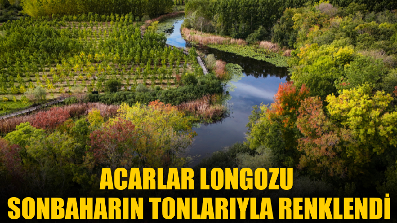 Acarlar Longozu sonbaharın tonlarıyla renklendi