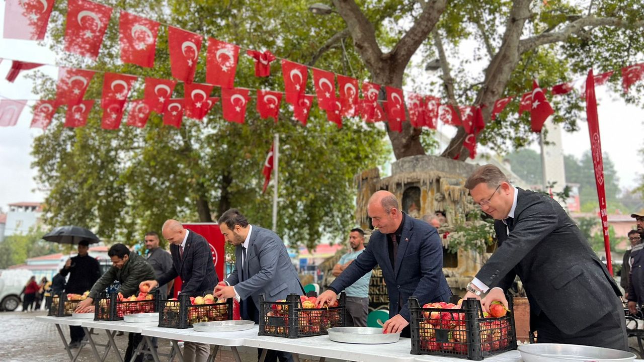 Bilecik'te 6. İnhisar Nar Festivali düzenlendi