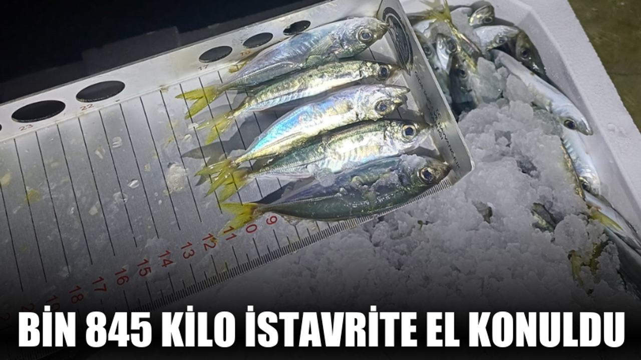 Bin 845 kilo istavrite el konuldu