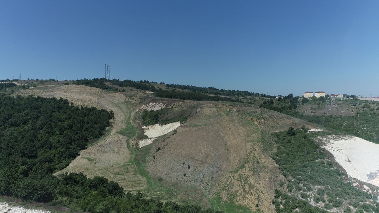 Kandıra'da 60 dönümlük alana 4 bin 500 fidan dikilecek