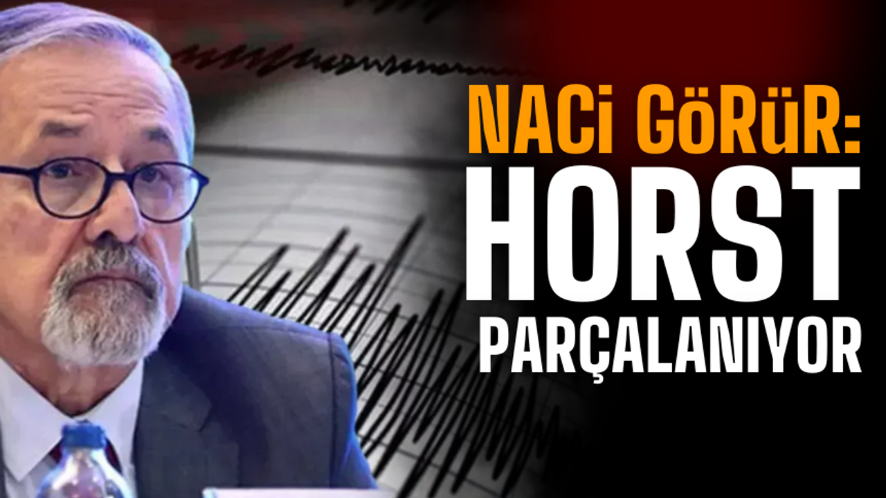 Prof. Dr. Naci Görür: "Horst parçalanıyor"