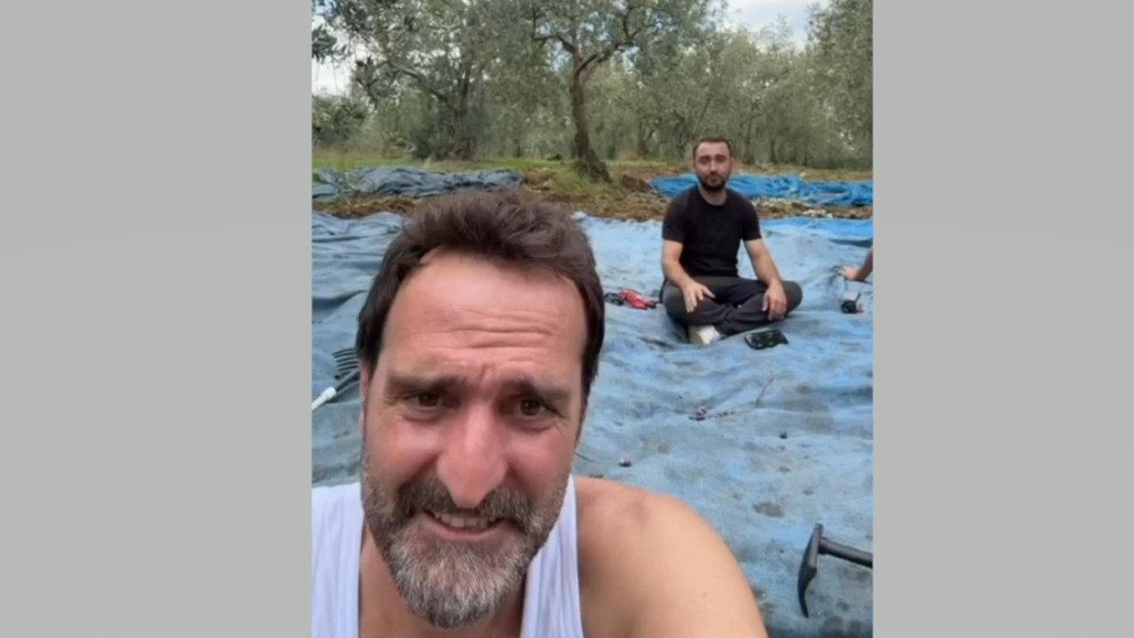 Timur Acar İznik’te Zeytin Hasadına Başladı
