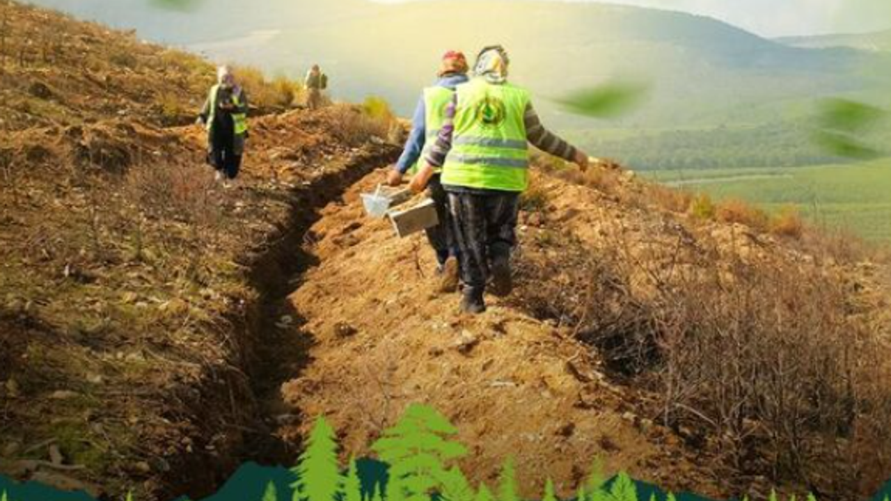 Sakarya’da 8 Milyon Fidan Dikilecek