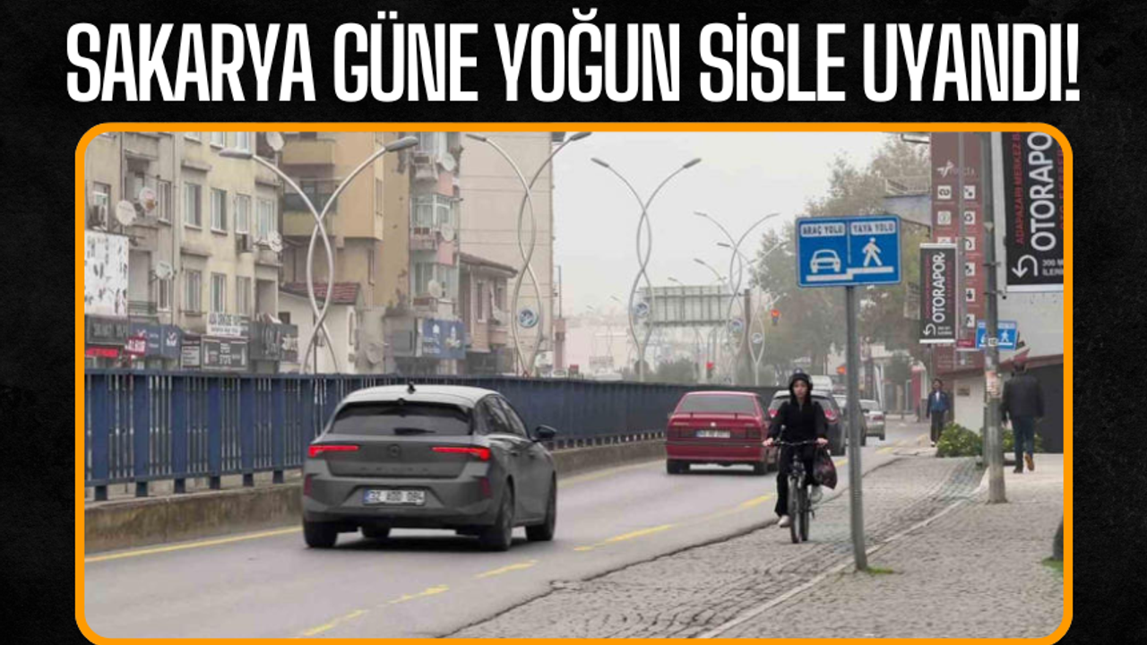 Sakarya güne yoğun sisle uyandı