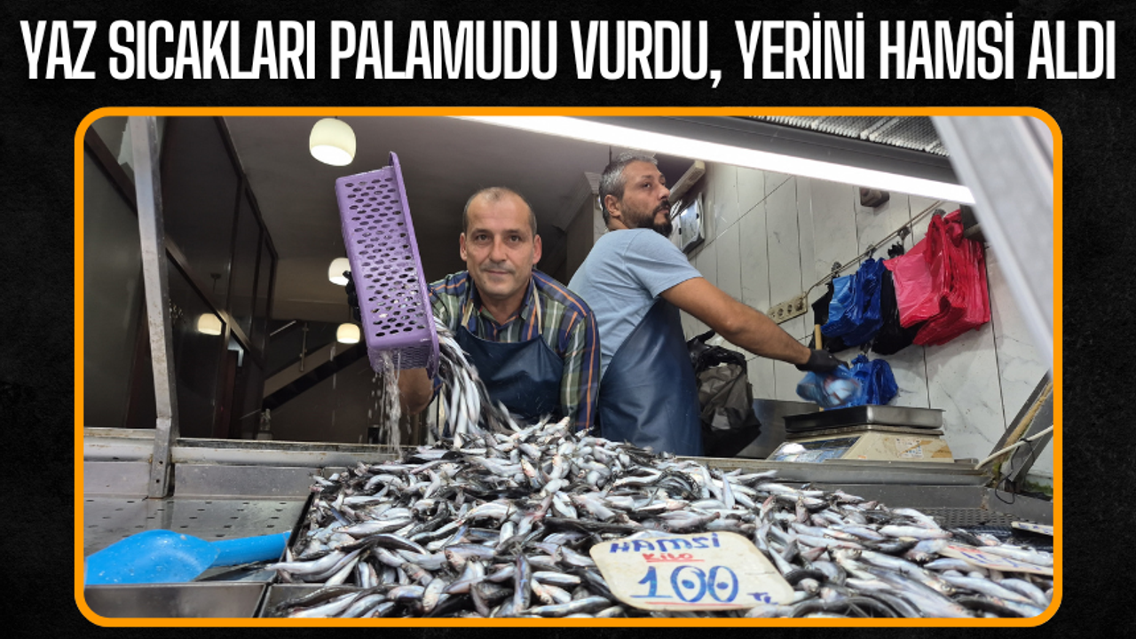 Palamut Bu Yıl Tezgahlarda Yok, Hamsi Bolluğu Yaşanıyor