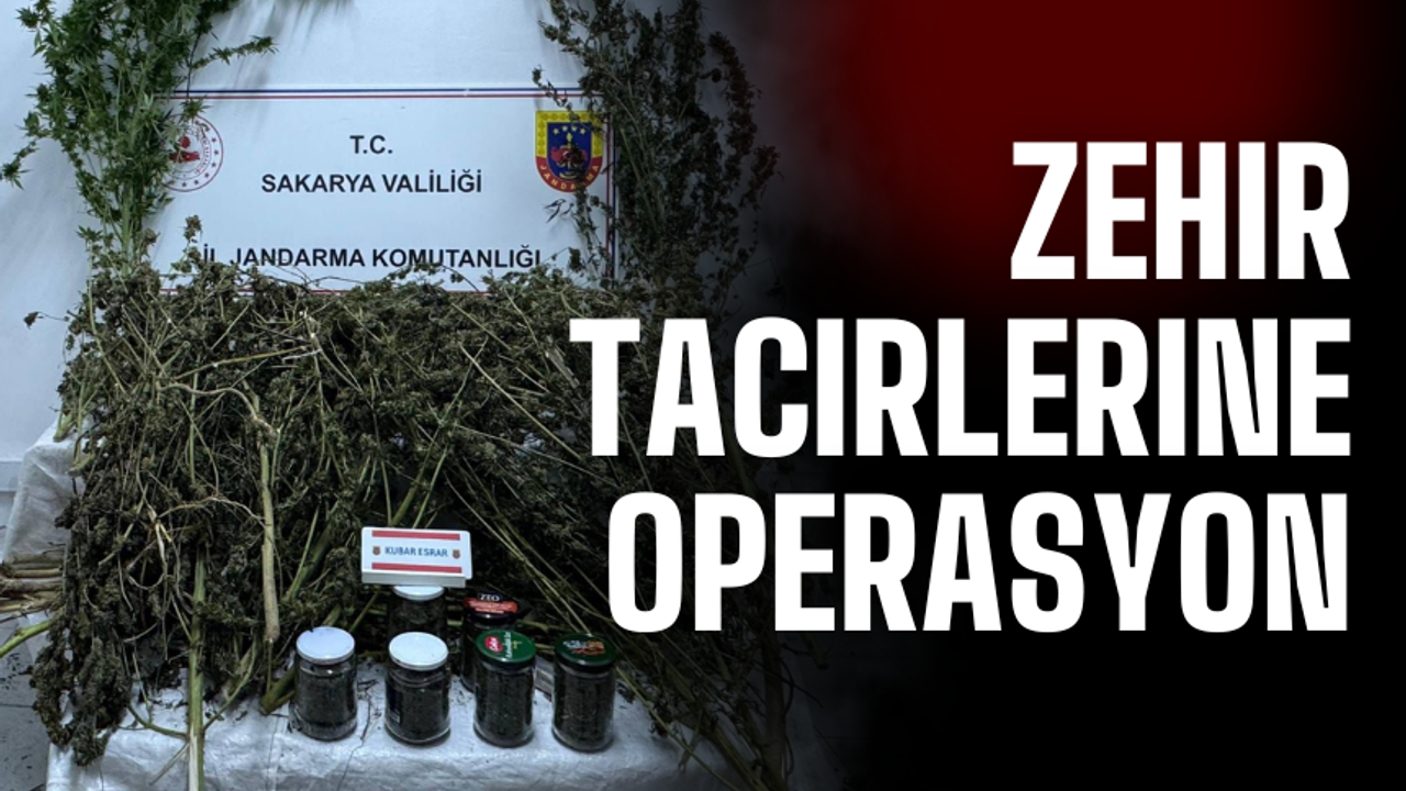 Ferizli ve Karasu'da zehir tacirlerine operasyon!