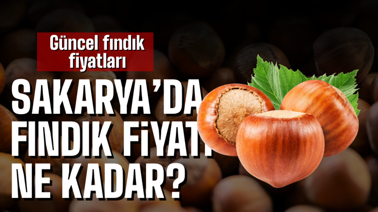 Sakarya’da Fındık Fiyatları Ne kadar?
