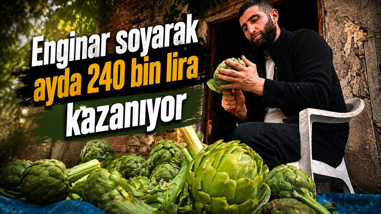 Enginar soyarak ayda 240 bin lira kazanıyor