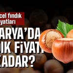 25 Ağustos 2026 güncel Sakarya fındık fiyatları kaç TL oldu?