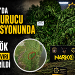 Karasu’da Uyuşturucu Operasyonu: 50 Kök Hint Keneviri ve 10 Kilo Esrar Ele Geçirildi