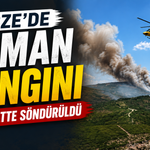 Gebze’de Orman Yangını 1,5 Saatte Söndürüldü