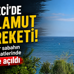Cebeci’de palamut bereketi! Balıkçılar sabahın erken saatlerinde denize açıldı