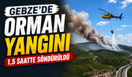 Gebze’de Orman Yangını 1,5 Saatte Söndürüldü