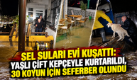 Kaynarca'da sel felaketi! Yaşlı çift kepçeyle kurtarıldı, 30 koyun tahliye edildi