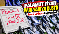 Palamut fiyatı yarı yarıya düştü: Tanesi 50 liraya kadar geriledi