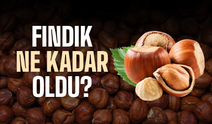 Sakarya'da Fındık Fiyatları Geriledi! 26 Temmuz 2026 Güncel Fındık Fiyatları
