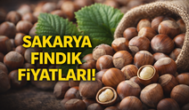 28 Eylül 2026 Sakarya fındık fiyatları!