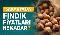 Sakarya’da Fındık Fiyatları Belli Oldu! 11 Ağustos 2026 Güncel Fiyatlar
