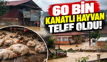 60 bin kanatlı hayvan telef oldu