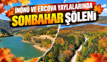 İnönü ve Ercova yaylalarında sonbahar şöleni