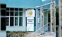 Ormancılık çalışmaları için hizmet alınacak