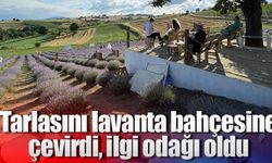 Tarlasını lavanta bahçesine çevirdi, ilgi odağı oldu