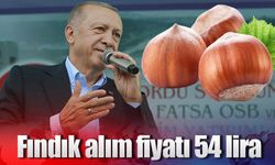 Fındık alım fiyatı 54 lira