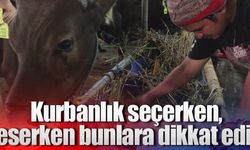 Kurbanlık seçerken, keserken bunlara dikkat edin