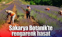 Sakarya Botanik’te rengârenk hasat