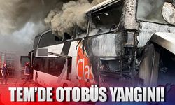 TEM’de otobüs yangını!