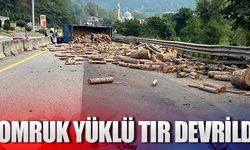 Tomruk yüklü tır devrildi