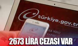 2673 lira cezası var