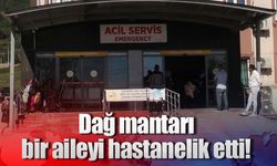 Dağ mantarı bir aileyi hastanelik etti!