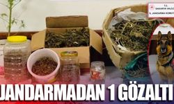 Jandarmadan 1 gözaltı!