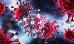 Koronavirüste iki yeni varyant tespit edildi