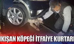 Sıkışan köpeği itfaiye ekipleri kurtardı