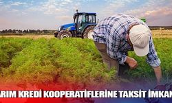 Tarım Kredi Kooperatifleri taksit imkanı sundu