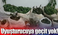 Uyuşturucuya geçit yok!