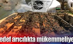 Hedef arıcılıkta mükemmeliyet