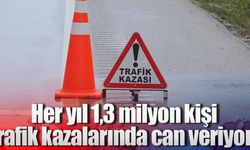 Her yıl 1,3 milyon kişi trafik kazalarında can veriyor!