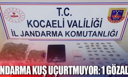 Jandarma kuş uçurtmuyor: 1 gözaltı