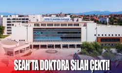 Seah'ta doktora silah çekti!